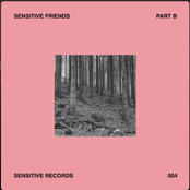 Sensitive Friends - Part A