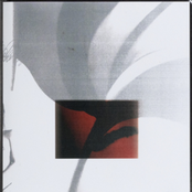 Live at The White Hotel