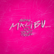 malibu (Trevor Daniel remix) - Single