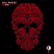 Kai Wachi: Better Off Alone