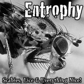 Scabies, Lice & Everything Nice!