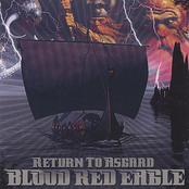 Solidarity by Blood Red Eagle