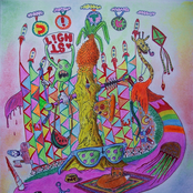 Fabulos world of the kind cachalot