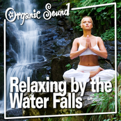 Relaxing by the Water Falls (Nature Sound)