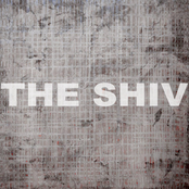 The Shiv