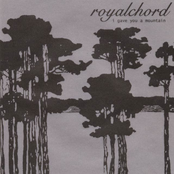 Ample by Royalchord