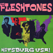 Keep Her Guessing by The Fleshtones