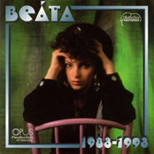 1983-1993