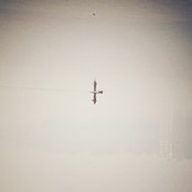 Endling by Qasim Naqvi