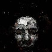 The Subdivide Of Species