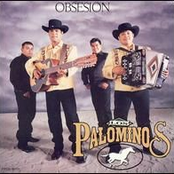 Los Palominos: Obsesion