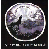 Lost Dog Street Band: Life's a Dog-Gone Shame