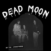 Can't Help Falling In Love by Dead Moon