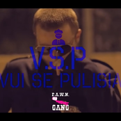 V.S.P - Vui Se Pulisia