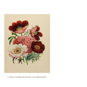 1. sounds to accompany the panorama "the complacent heron" ／／ DMT​-​436