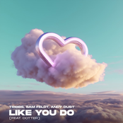 Like You Do (feat. Dotter) - Single