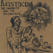 The Mammoth and the Microchip