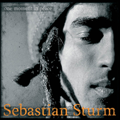 No Wiser by Sebastian Sturm