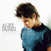 Stones & Feathers by Alex Parks