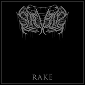 Rake