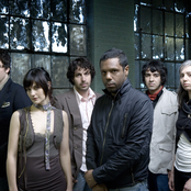 the dears