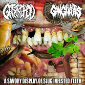 A Savory Display Of Slug Infested Teeth