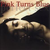 Perfect Sex by Pink Turns Blue