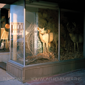 Tuxis Giant: You Won't Remember This