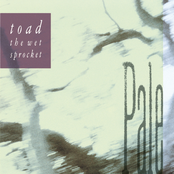 She Cried by Toad The Wet Sprocket