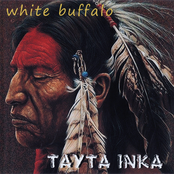 White Buffalo