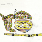 Oder Delias Or Butterflies