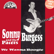 We Wanna Boogie by Sonny Burgess