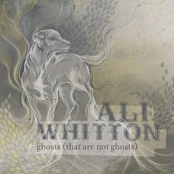 Ghosts (that Are Not Ghosts)