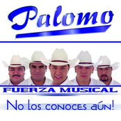 Mal De Amores by Palomo