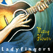 ladyfingers