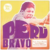 Peru Bravo: Funk, Soul & Psych from Peru's Radical Decade