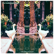 It Was Meant To Happen