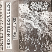 Wads of Toilet Paper / Submersed Cadaver