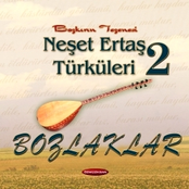 Felek Neler Eyledi by Neşet Ertaş