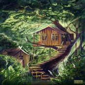 Treehouse