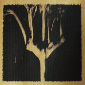 Hoping For The End Of Hope (CD 2)