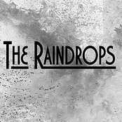 The Raindrops