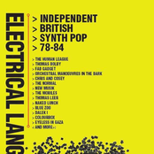 Electrical Language: Independent British Synth Pop 78-84