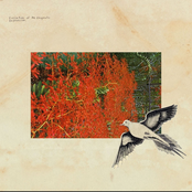 Evolution Of An Enigmatic Expression