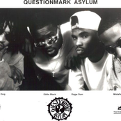 questionmark asylum
