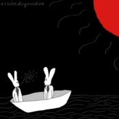 treesbleedingsunshine