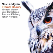 Don't Let Me Be Lonely Tonight by Nils Landgren