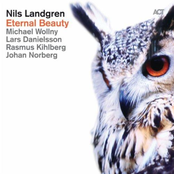 Dear Diary by Nils Landgren