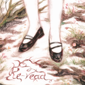 Прокладений квітами шлях