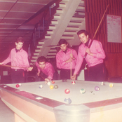 Salvaje / El entierro de los gatos